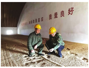 爱粮节粮之星--毕智卫