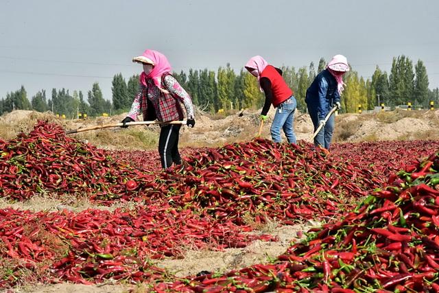 人大代表连年呼吁，食品安全信息追溯体系为何还没建成？