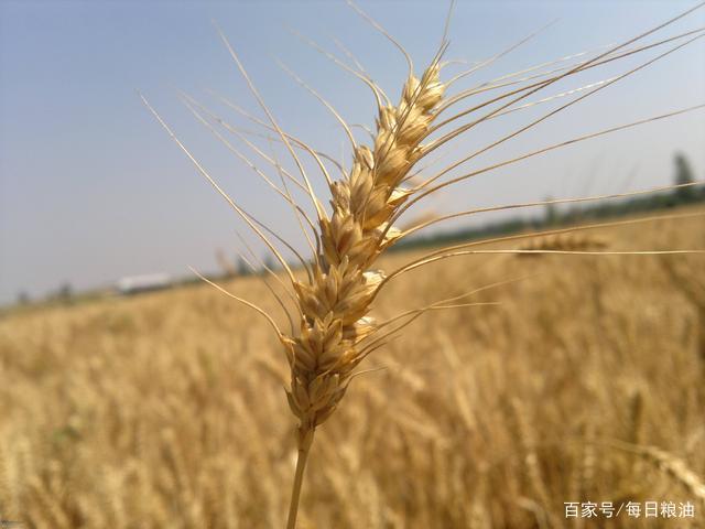 160626181342.jpg