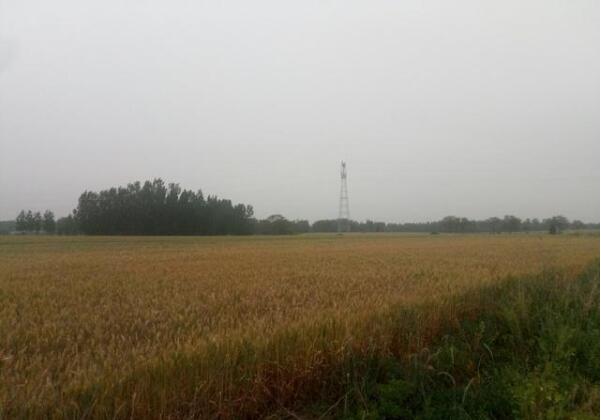 141530131342.jpg