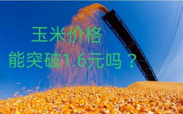 微信截图_20210226093432