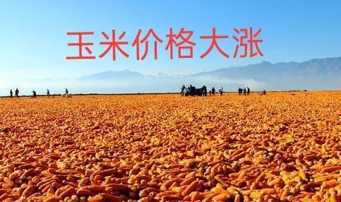 下载 (6)