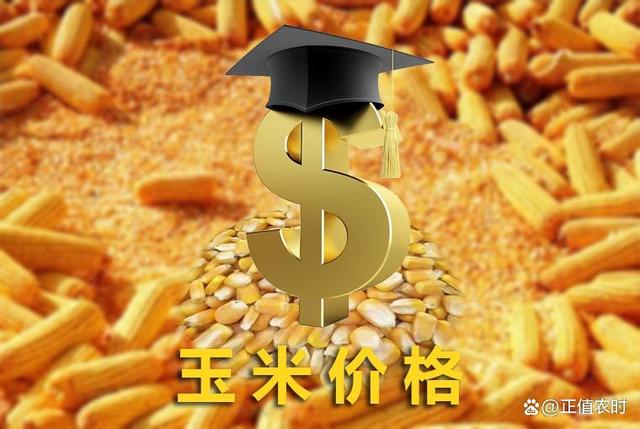 玉米行情预测2022 094400625.jpg