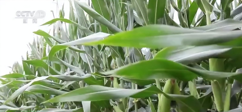 bfcbb192a7e8404789f3f3ccf25c6c0c~tplv-obj