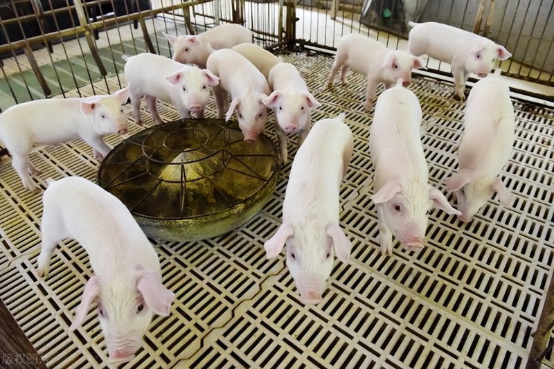 e57fadb7063d4fa4bf7f6f335bbd4bdc~tplv-obj