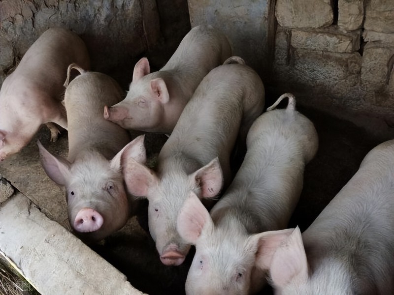 b4b4edd5373941fd9b59ce98d73126d5~tplv-obj