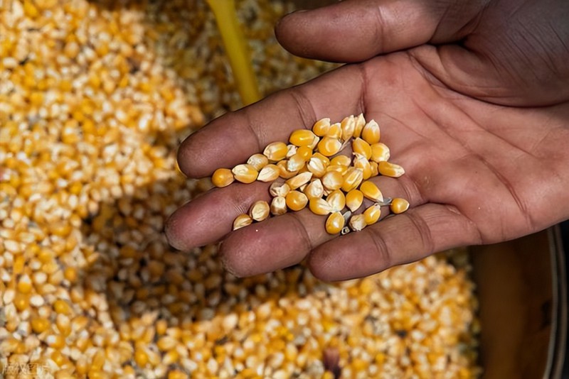 c54c523497e74a76aa3125e6e9630bd3~tplv-obj