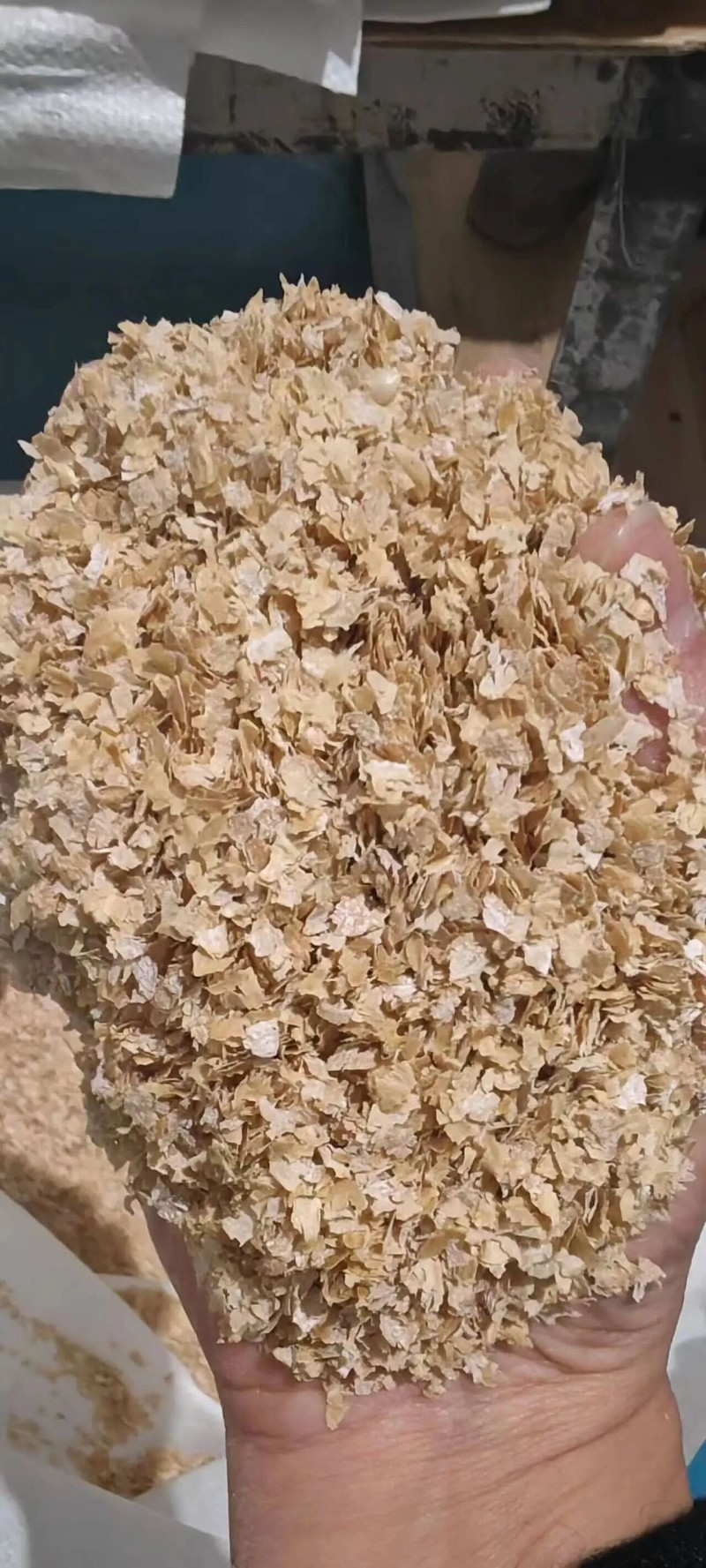 微信图片_2026-04-10_174443_815