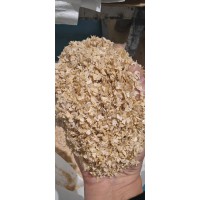 山东五富利出售特大片麸皮