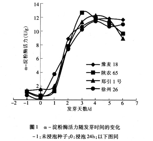 不同品种小麦发芽过程中淀粉酶活力变化规律的