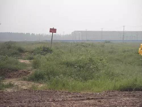 中国务农人口_销量依旧在涨 1 10月微型卡车市场分析